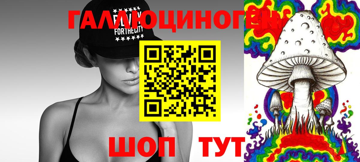 Галлюциногенные грибы Psilocybine cubensis  Вход с VPN  Люберцы 